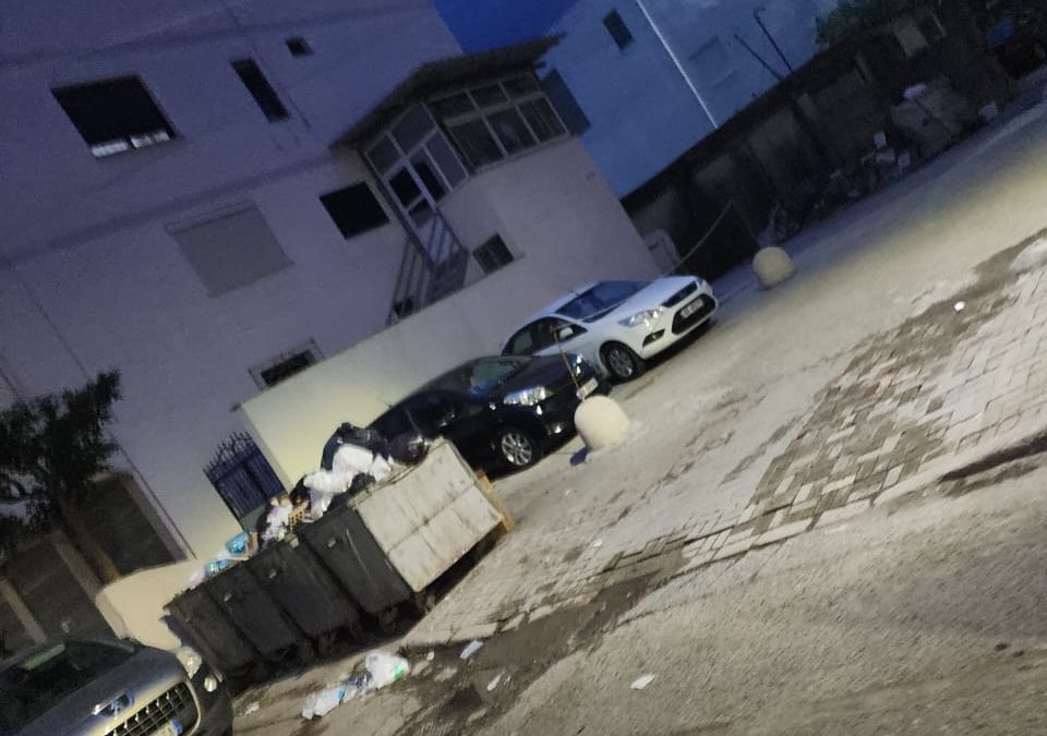 Privatizim i prones publike ne lagjen 18