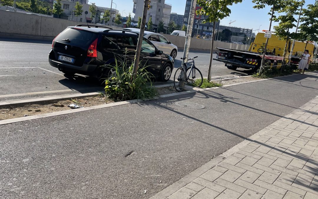 Ujitja dhe mirëmbajtja e pemëve në Astir (Teodor Keko)