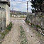 IMG_3481-1.jpeg