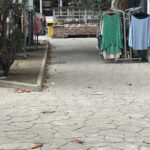 IMG_1771.jpeg
