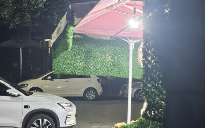 Zaptim i hapsires publike