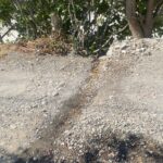 IMG_0751-1.jpeg