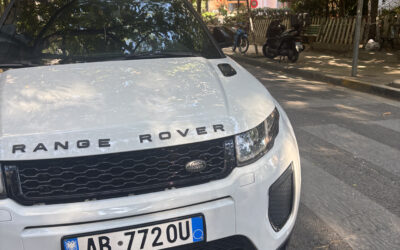 Parkim i gabuar mbi vija te bardha